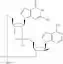 Fig. 720 - Cyclic di-nucleotide compounds as STING agonists