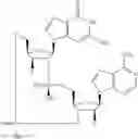 Fig. 721 - Cyclic di-nucleotide compounds as STING agonists