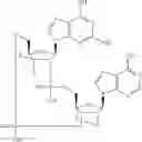 Fig. 735 - Cyclic di-nucleotide compounds as STING agonists