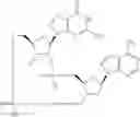 Fig. 740 - Cyclic di-nucleotide compounds as STING agonists