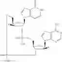 Fig. 757 - Cyclic di-nucleotide compounds as STING agonists