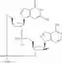 Fig. 768 - Cyclic di-nucleotide compounds as STING agonists