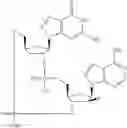 Fig. 771 - Cyclic di-nucleotide compounds as STING agonists