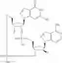 Fig. 778 - Cyclic di-nucleotide compounds as STING agonists