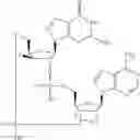 Fig. 782 - Cyclic di-nucleotide compounds as STING agonists