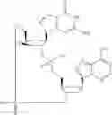 Fig. 789 - Cyclic di-nucleotide compounds as STING agonists