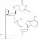 Fig. 790 - Cyclic di-nucleotide compounds as STING agonists
