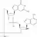 Fig. 795 - Cyclic di-nucleotide compounds as STING agonists