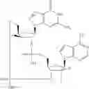 Fig. 797 - Cyclic di-nucleotide compounds as STING agonists