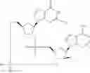 Fig. 811 - Cyclic di-nucleotide compounds as STING agonists