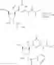Fig. 850 - Cyclic di-nucleotide compounds as STING agonists