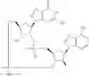 Fig. 858 - Cyclic di-nucleotide compounds as STING agonists