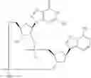 Fig. 859 - Cyclic di-nucleotide compounds as STING agonists