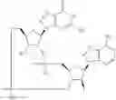 Fig. 862 - Cyclic di-nucleotide compounds as STING agonists