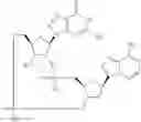 Fig. 863 - Cyclic di-nucleotide compounds as STING agonists