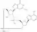 Fig. 864 - Cyclic di-nucleotide compounds as STING agonists