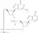 Fig. 871 - Cyclic di-nucleotide compounds as STING agonists