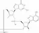 Fig. 876 - Cyclic di-nucleotide compounds as STING agonists