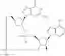 Fig. 877 - Cyclic di-nucleotide compounds as STING agonists