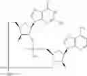 Fig. 883 - Cyclic di-nucleotide compounds as STING agonists