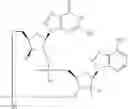 Fig. 884 - Cyclic di-nucleotide compounds as STING agonists