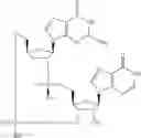 Fig. 888 - Cyclic di-nucleotide compounds as STING agonists
