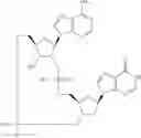 Fig. 889 - Cyclic di-nucleotide compounds as STING agonists