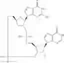 Fig. 892 - Cyclic di-nucleotide compounds as STING agonists