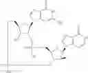 Fig. 896 - Cyclic di-nucleotide compounds as STING agonists