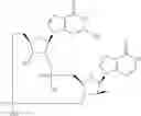 Fig. 897 - Cyclic di-nucleotide compounds as STING agonists