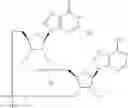 Fig. 899 - Cyclic di-nucleotide compounds as STING agonists