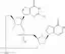 Fig. 903 - Cyclic di-nucleotide compounds as STING agonists
