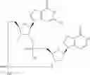 Fig. 904 - Cyclic di-nucleotide compounds as STING agonists