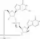 Fig. 906 - Cyclic di-nucleotide compounds as STING agonists