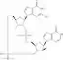 Fig. 908 - Cyclic di-nucleotide compounds as STING agonists