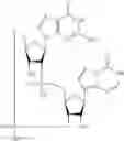 Fig. 919 - Cyclic di-nucleotide compounds as STING agonists
