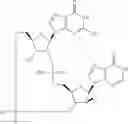 Fig. 920 - Cyclic di-nucleotide compounds as STING agonists