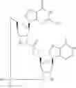 Fig. 932 - Cyclic di-nucleotide compounds as STING agonists