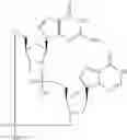 Fig. 934 - Cyclic di-nucleotide compounds as STING agonists