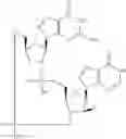 Fig. 938 - Cyclic di-nucleotide compounds as STING agonists