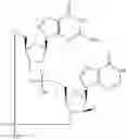 Fig. 941 - Cyclic di-nucleotide compounds as STING agonists