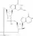 Fig. 942 - Cyclic di-nucleotide compounds as STING agonists