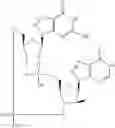 Fig. 943 - Cyclic di-nucleotide compounds as STING agonists