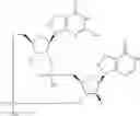 Fig. 944 - Cyclic di-nucleotide compounds as STING agonists