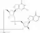 Fig. 945 - Cyclic di-nucleotide compounds as STING agonists