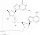 Fig. 953 - Cyclic di-nucleotide compounds as STING agonists