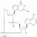 Fig. 954 - Cyclic di-nucleotide compounds as STING agonists