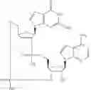 Fig. 955 - Cyclic di-nucleotide compounds as STING agonists