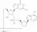 Fig. 958 - Cyclic di-nucleotide compounds as STING agonists