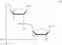 Fig. 96 - Cyclic di-nucleotide compounds as STING agonists